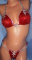 /album/fitness-bikiny-jesen-2012/pa240844-jpg/