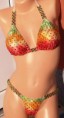 /album/fitness-bikiny-jesen-2012/pa230839-jpg/